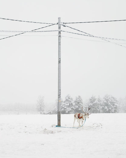 8145091
